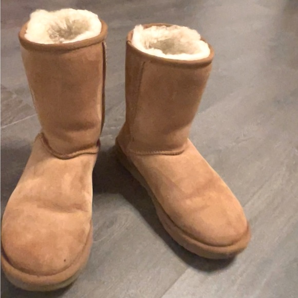 Chestnut UGGS size 7 - Picture 3 of 5